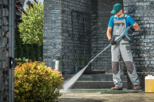 Best Patio and Deck Pressure Washing  in Lecanto, FL